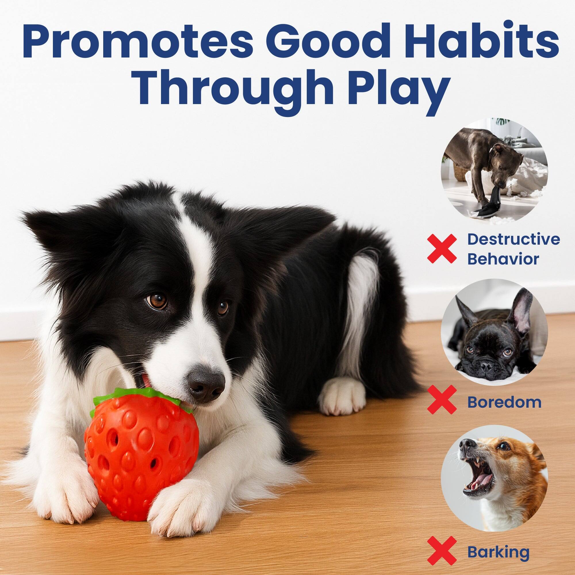 Promotes Good Habits Through Play

- Destructive Behavior
- Boredom
- Barking