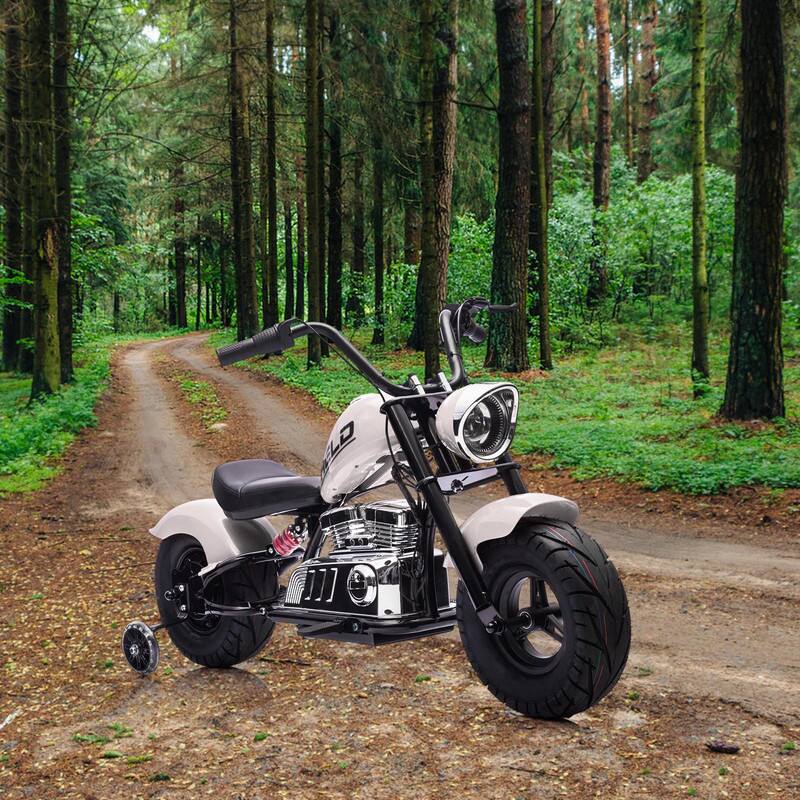 Alt View 2. GARVEE - 36V Kids Electric Dirt Bike,Battery Powered Ride On Motorcycle 350W Brushless Motor.