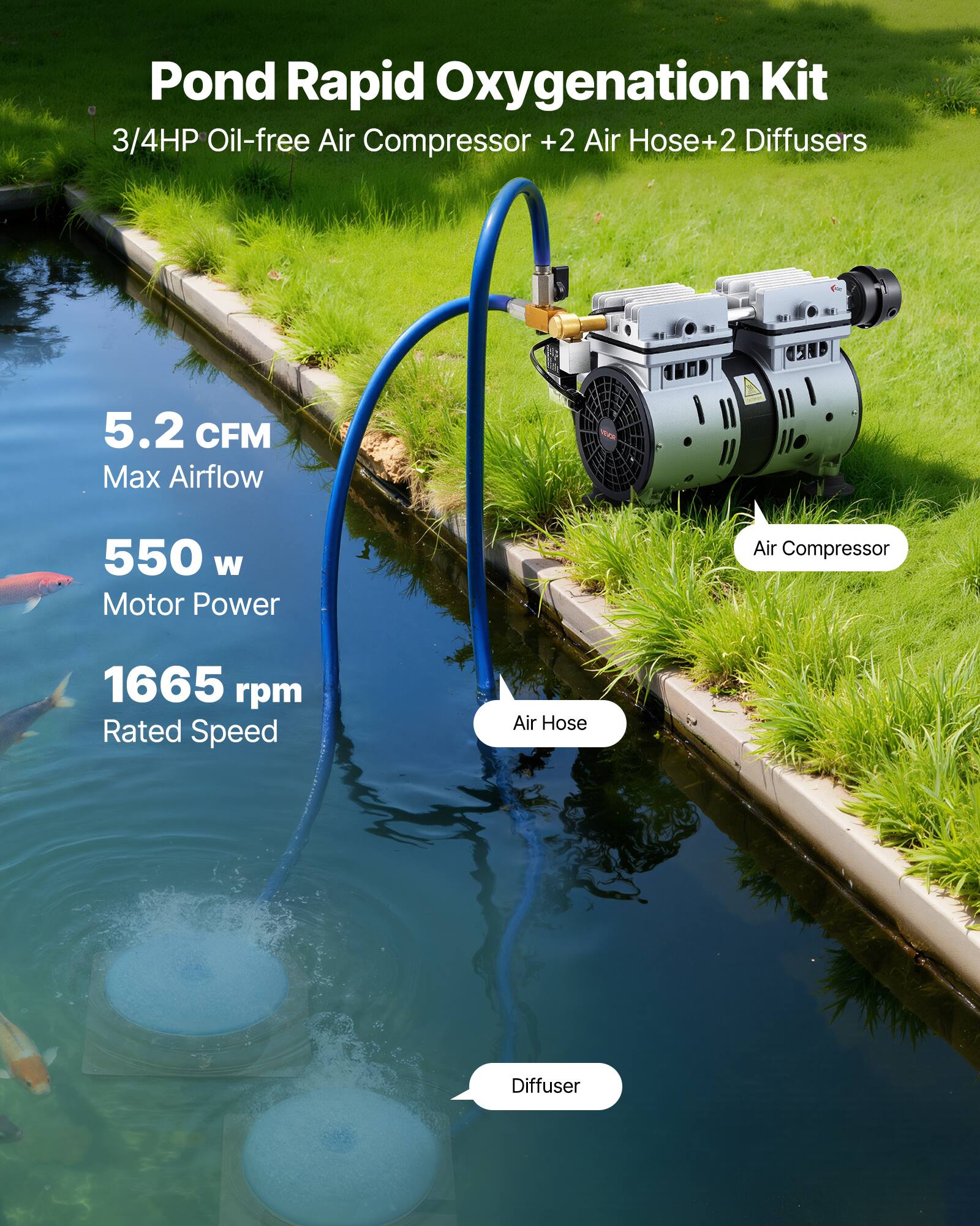 Pond Rapid Oxygenation Kit  
3/4HP Oil-free Air Compressor + 2 Air Hose + 2 Diffusers  

5.2 CFM Max Airflow  
550 W Motor Power  
1665 rpm Rated Speed  

Air Compressor  
Air Hose  
Diffuser