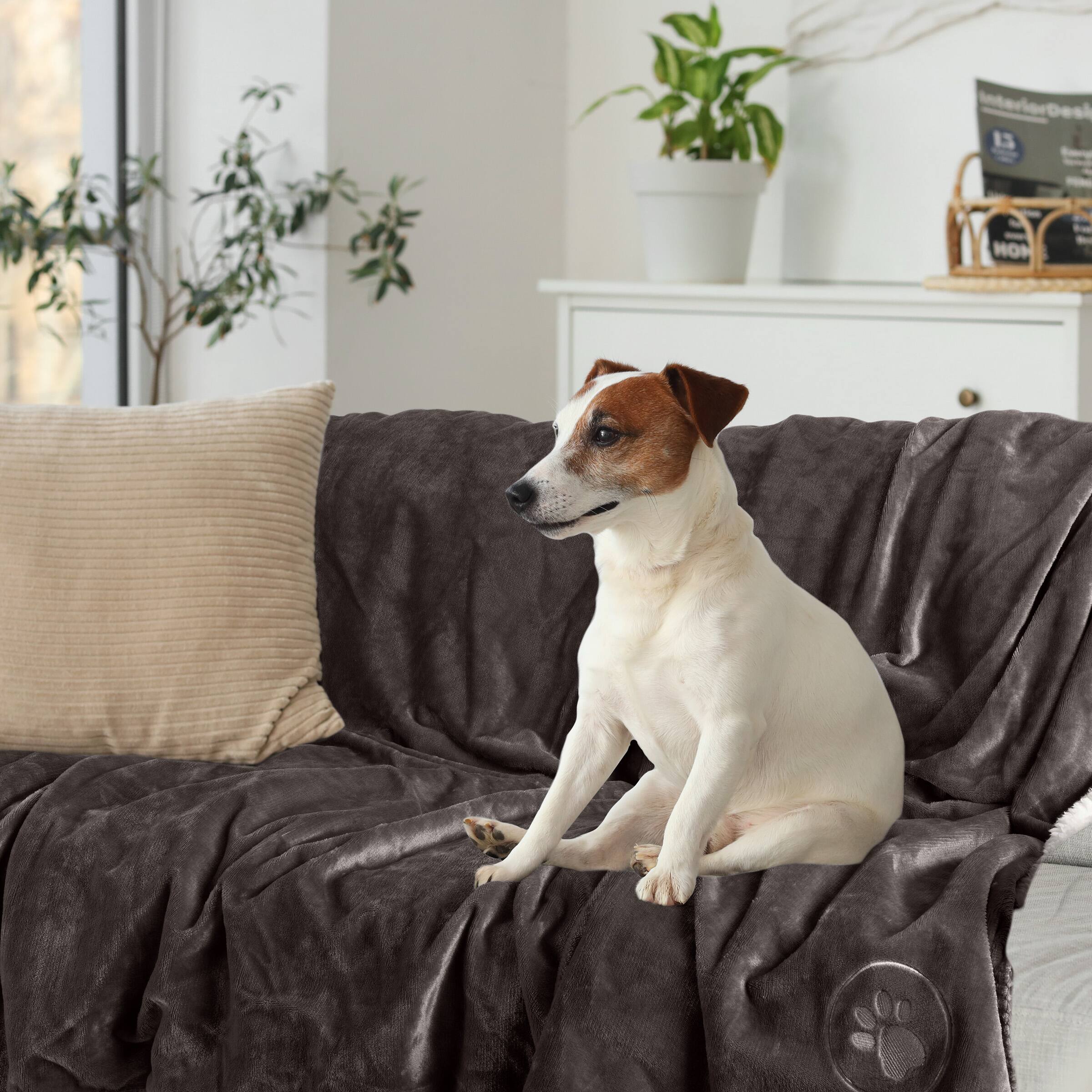 Interior Design is HON