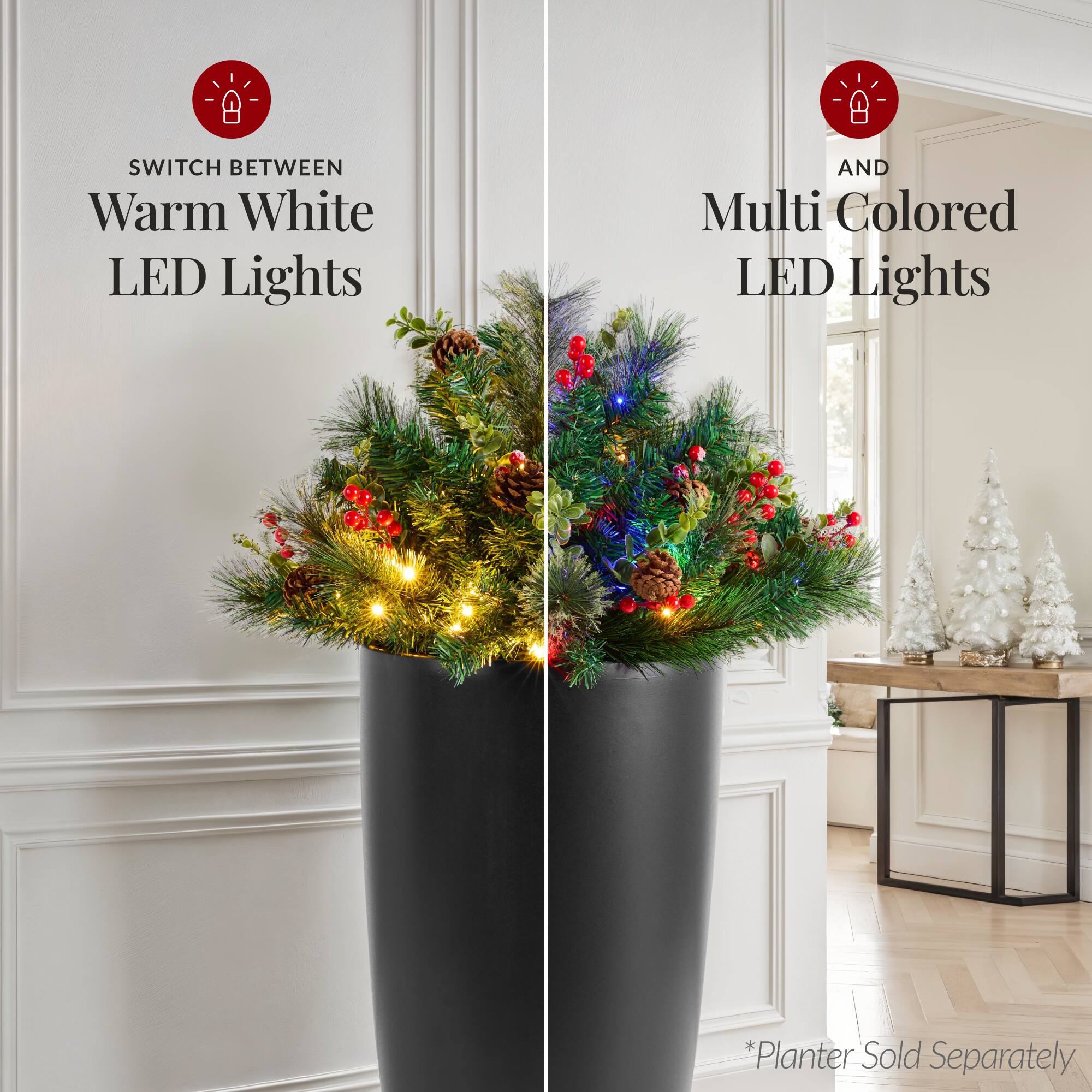 SWITCH BETWEEN  
Warm White LED Lights  

AND  
Multi Colored LED Lights  

*Planter Sold Separately
