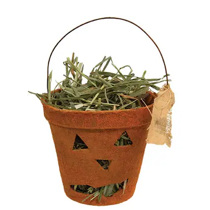 Front. BreeBe - Jack O Lantern Planter w/Prairie Grass - 3"H - Orange.