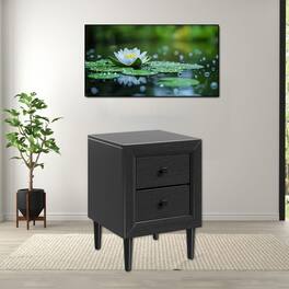 Hivvago - Classic Wooden Nightstand with 2 Drawers for Multi-Functional Use - Black