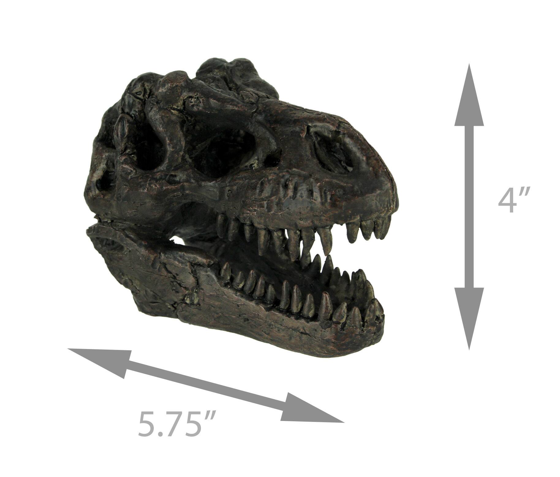 Alt View 3. Zeckos - Tyrannosaurus Rex Dinosaur Skull Fossil Statue Small - Brown.