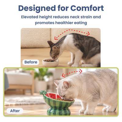 Designed for Comfort  
Elevated height reduces neck strain and promotes healthier eating  

Before  
After