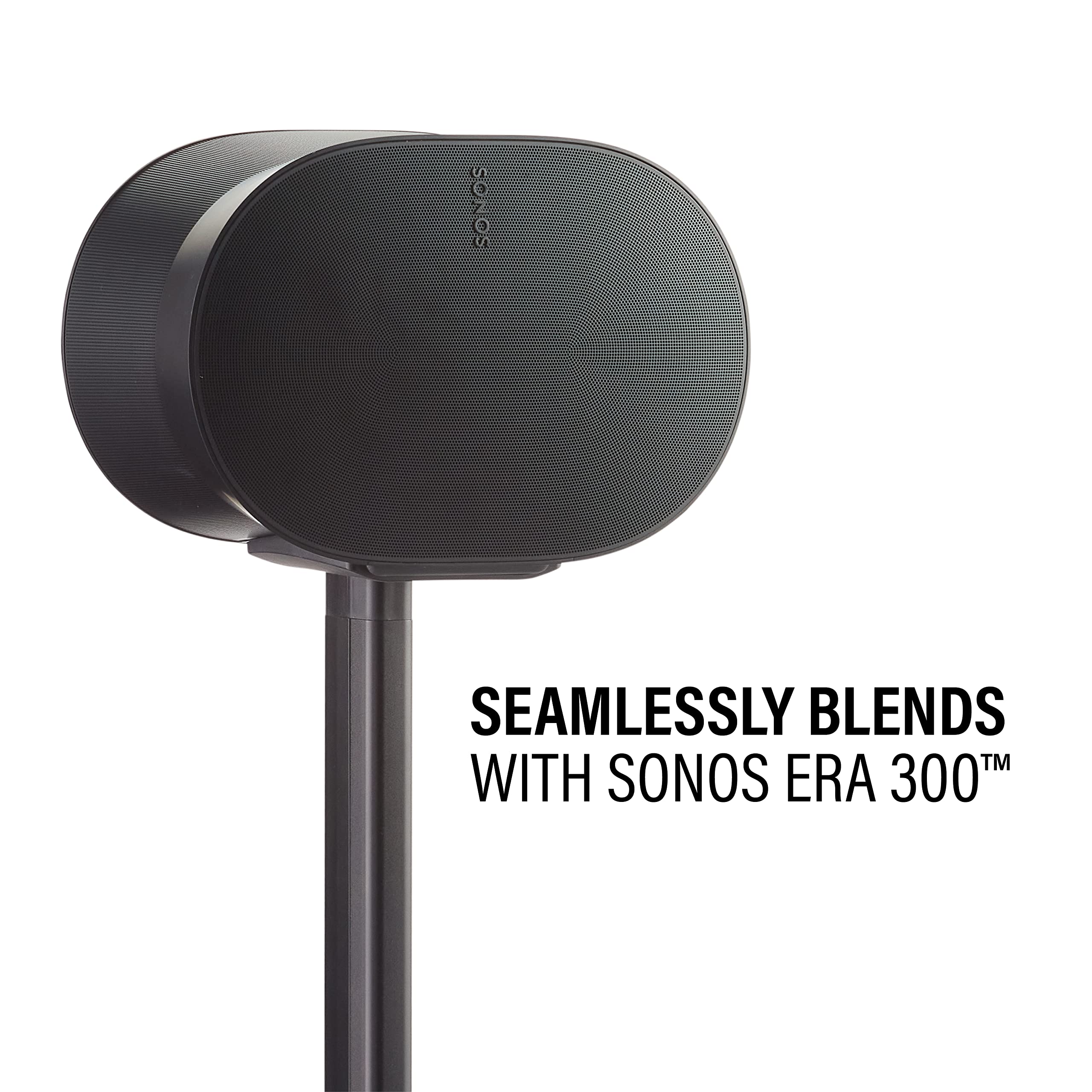 Seamlessly blends with Sonos Era 300™
