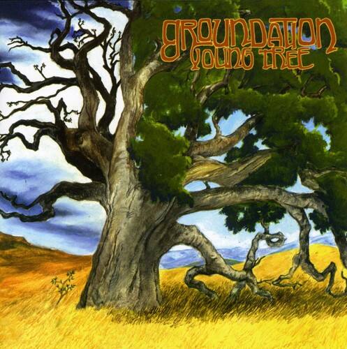 Groundation - Young Tree   - COMPACT DISCS [CD] price history on PriceWatchPro