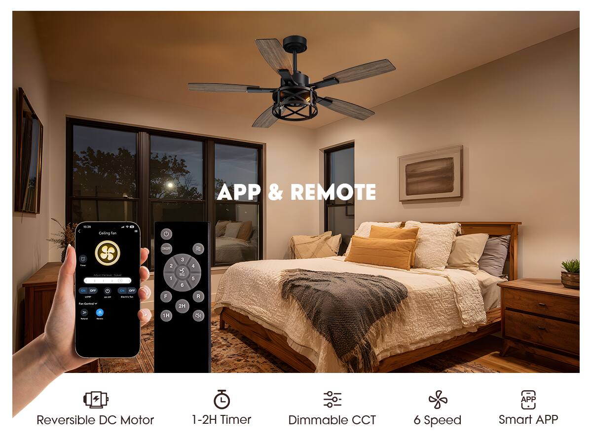 APP & REMOTE

Ceiling fan

Reversible DC Motor

1-2H Timer

Dimmable CCT

6 Speed

Smart APP