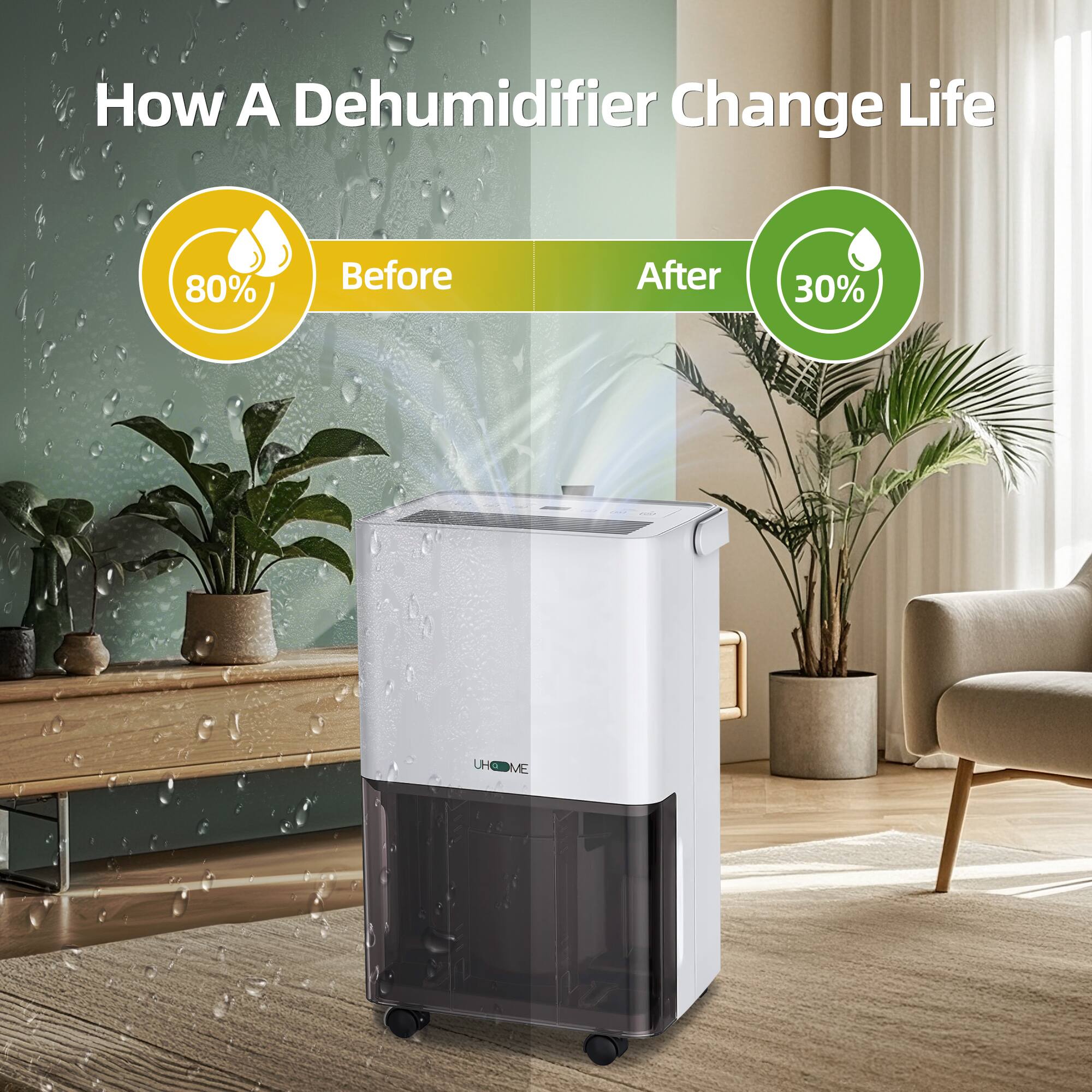 How A Dehumidifier Change Life

Before 80%

After 30%