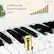 Full-Size 88 Semi-weighted Keys
Touch
Sound Effect
3.54" 0.59" 5.51" 0.98"