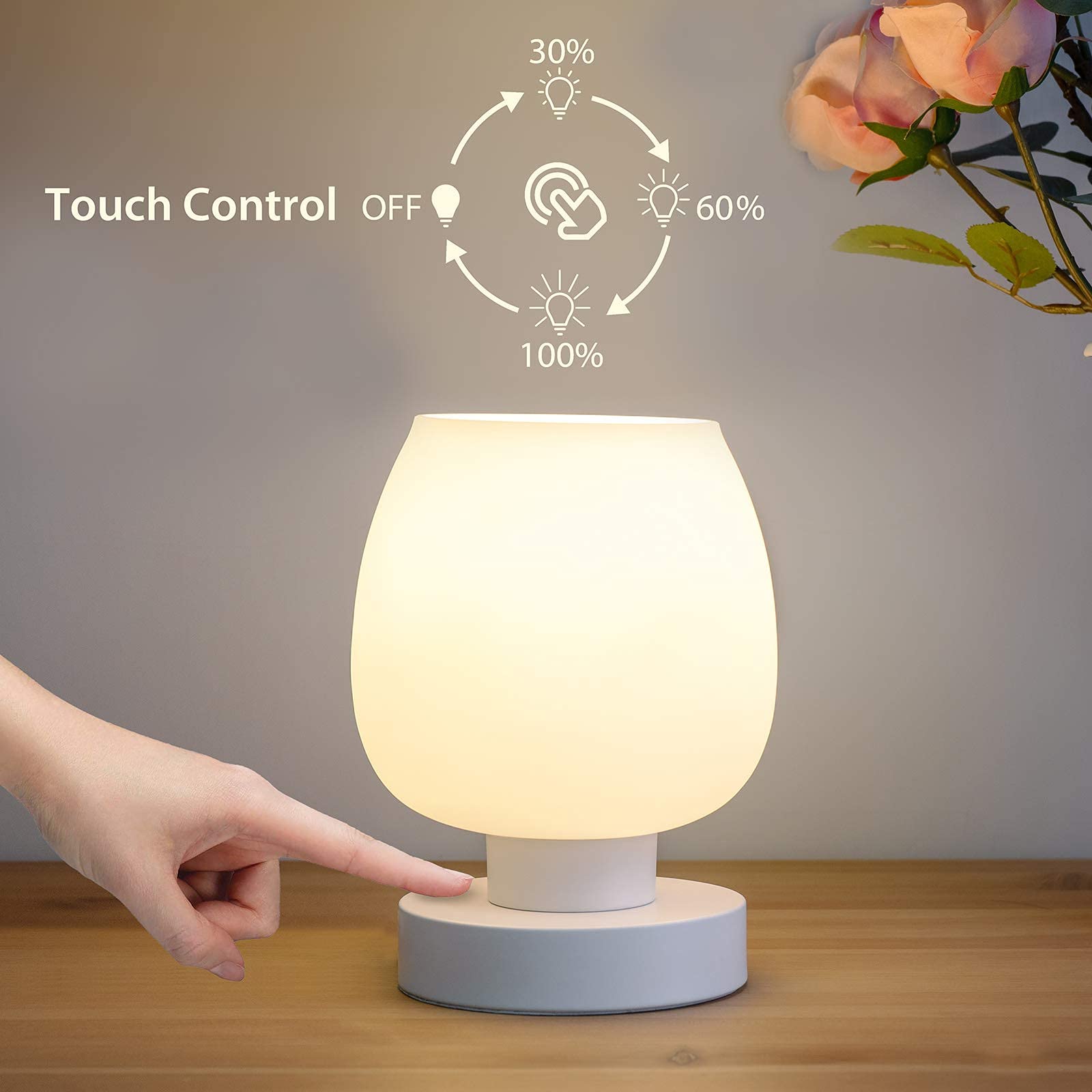 Touch Control OFF  
30% 60% 100%