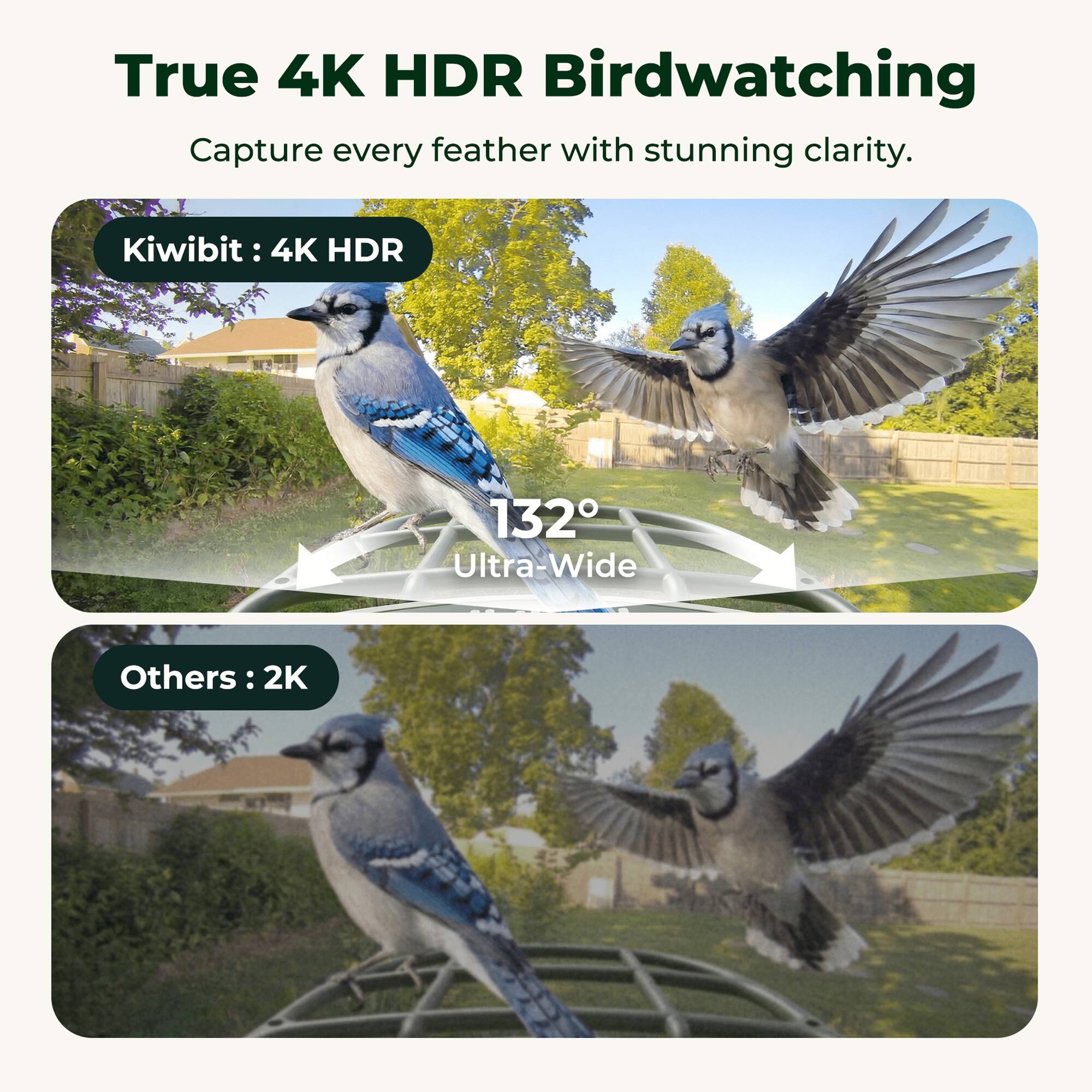 True 4K HDR Birdwatching  
Capture every feather with stunning clarity.  

Kiwibit: 4K HDR 132° Ultra-Wide  
Others: 2K