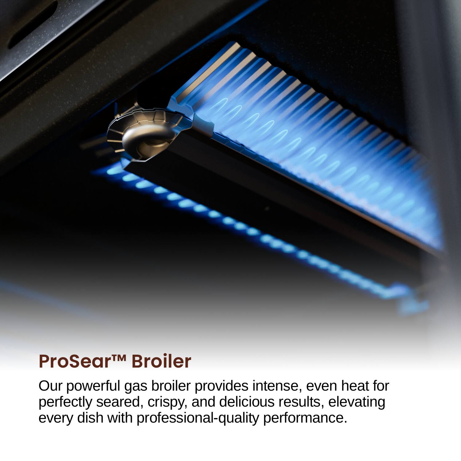 ProSear™ Broiler

Our powerful gas broiler provides intense, even heat for perfectly seared, crispy, and delicious results, elevating every dish with professional-quality performance.