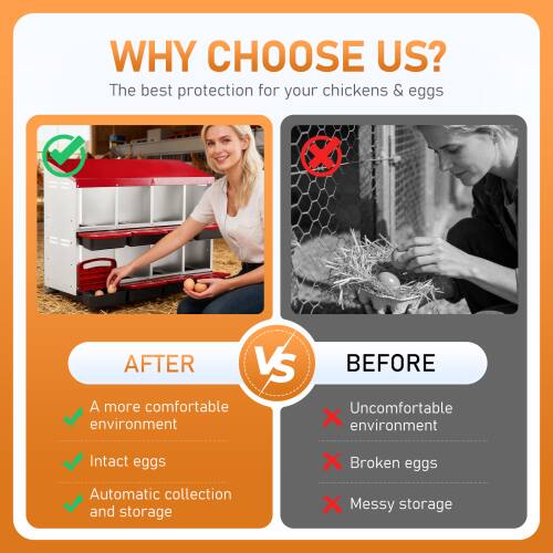 WHY CHOOSE US?  
The best protection for your chickens & eggs  

AFTER  
- A more comfortable environment  
- Intact eggs  
- Automatic collection and storage  

VS  

BEFORE  
- Uncomfortable environment  
- Broken eggs  
- Messy storage
