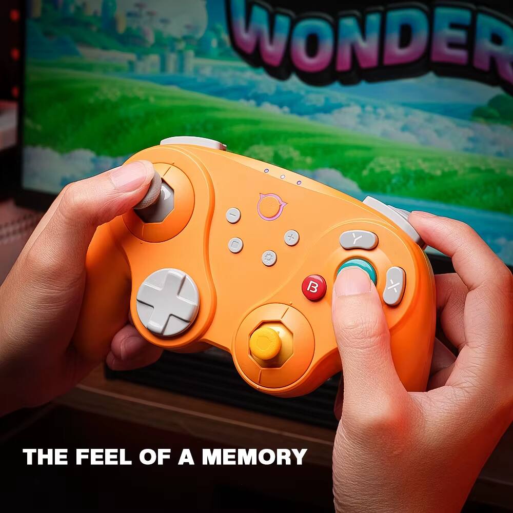 WONDER  
THE FEEL OF A MEMORY