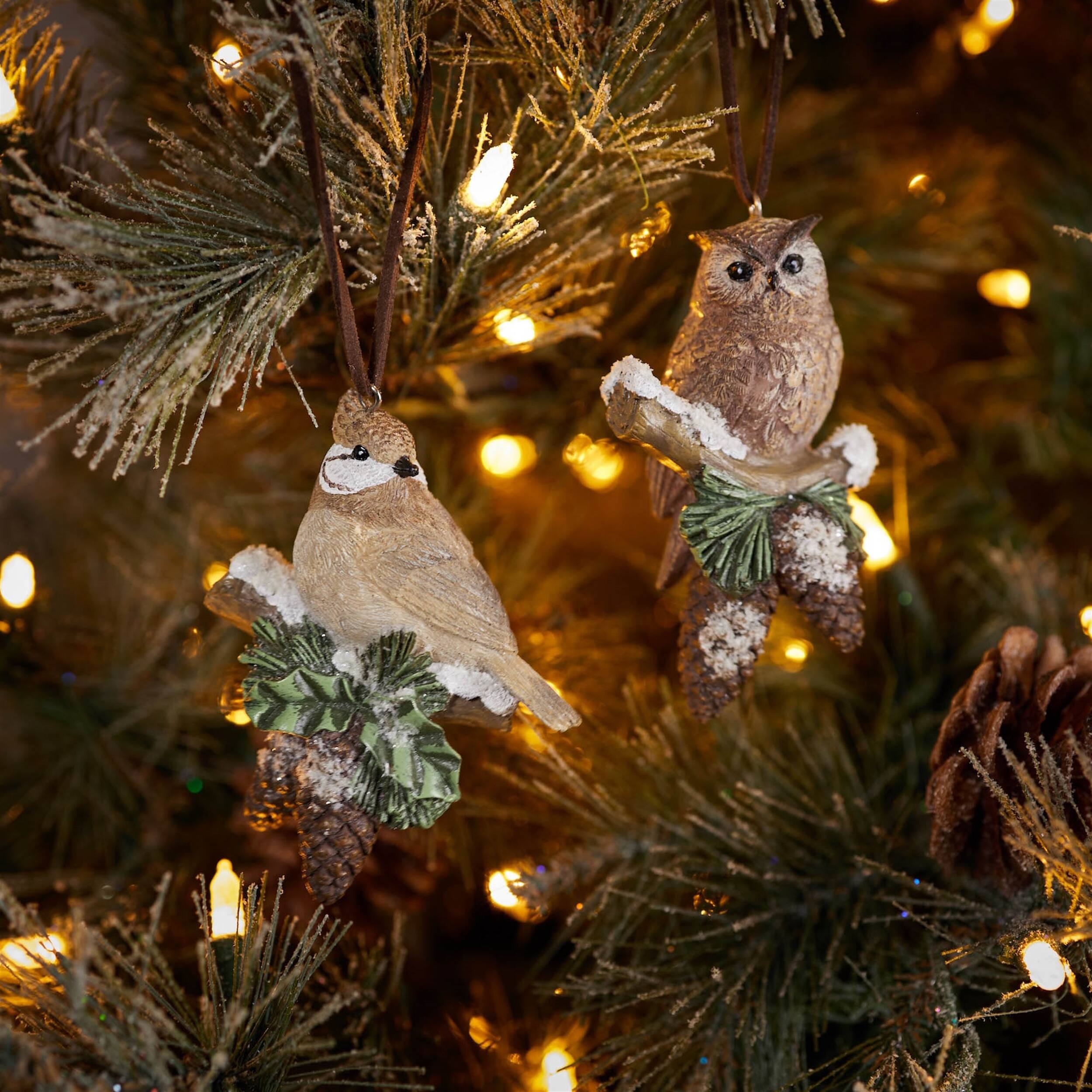 Angle. BreeBe - Snowy Cardinal Bird and Owl Ornament (Set of 12) - Brown, Green.