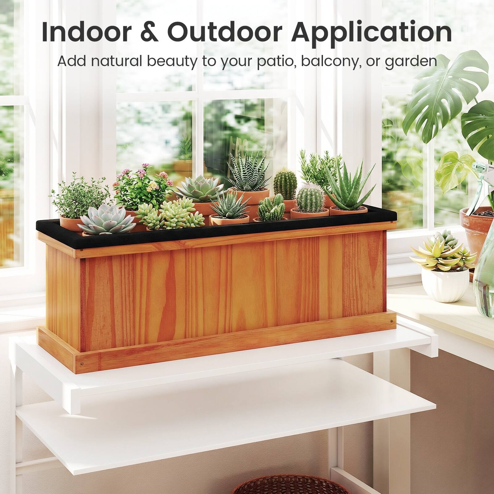 Indoor & Outdoor Application  
Add natural beauty to your patio, balcony, or garden