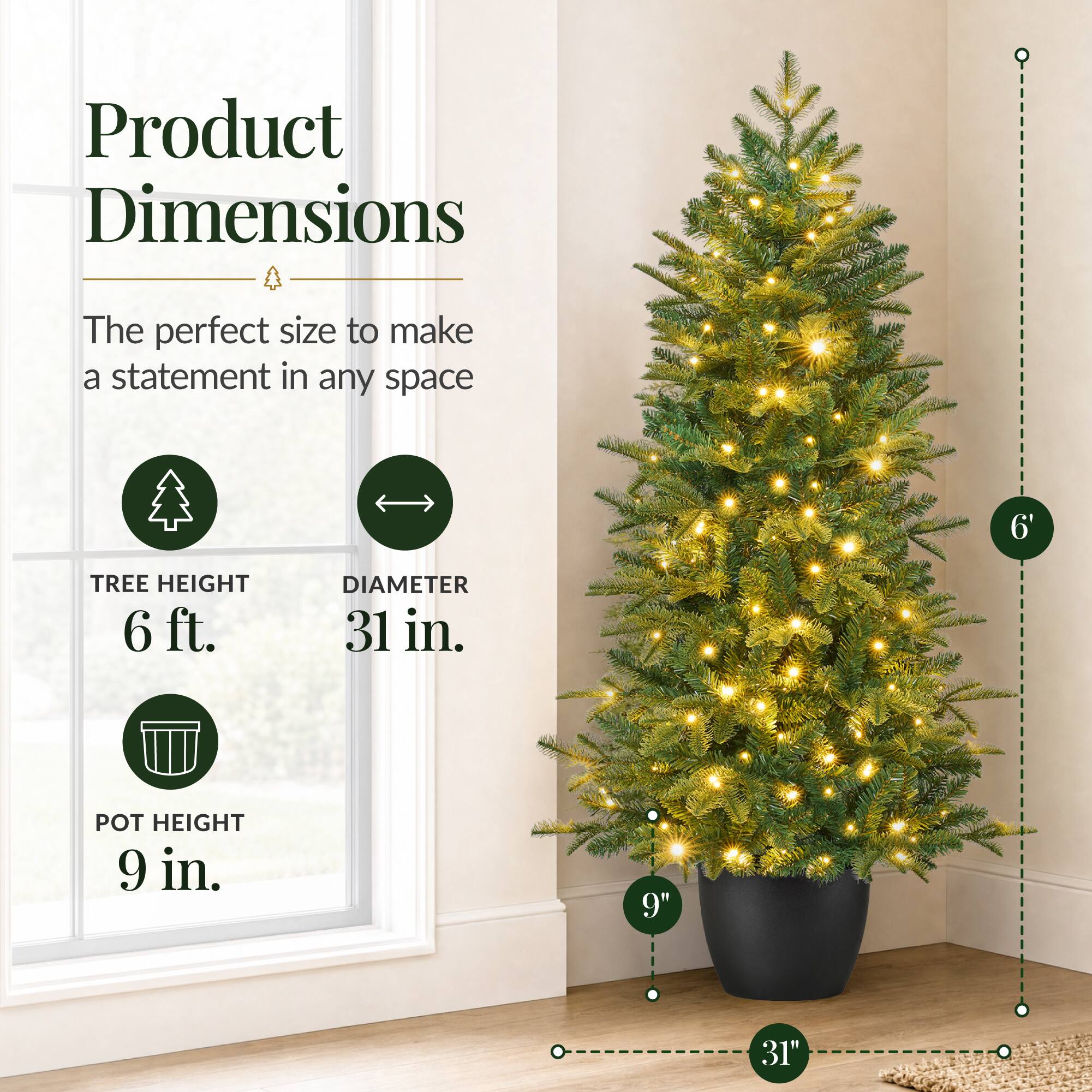 Product Dimensions

The perfect size to make a statement in any space

TREE HEIGHT 6 ft.
DIAMETER 31 in.
POT HEIGHT 9 in.