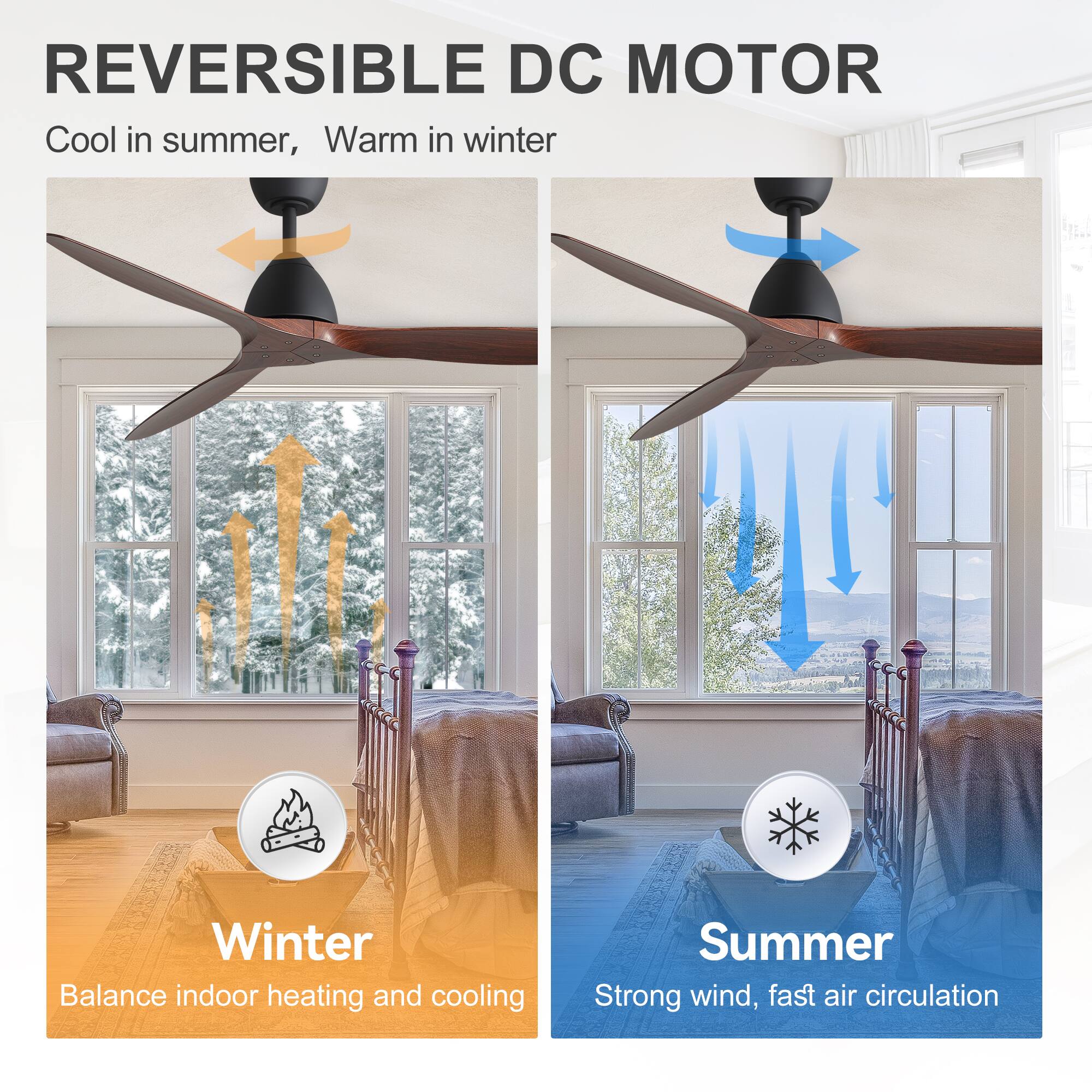 REVERSIBLE DC MOTOR  
Cool in summer, Warm in winter  

Winter  
Balance indoor heating and cooling  

Summer  
Strong wind, fast air circulation