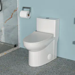 Loheer - Ceramic One-Piece Toilet, Dual Flush, Elongated Bowl, Twelve-Inch Rough-In - White