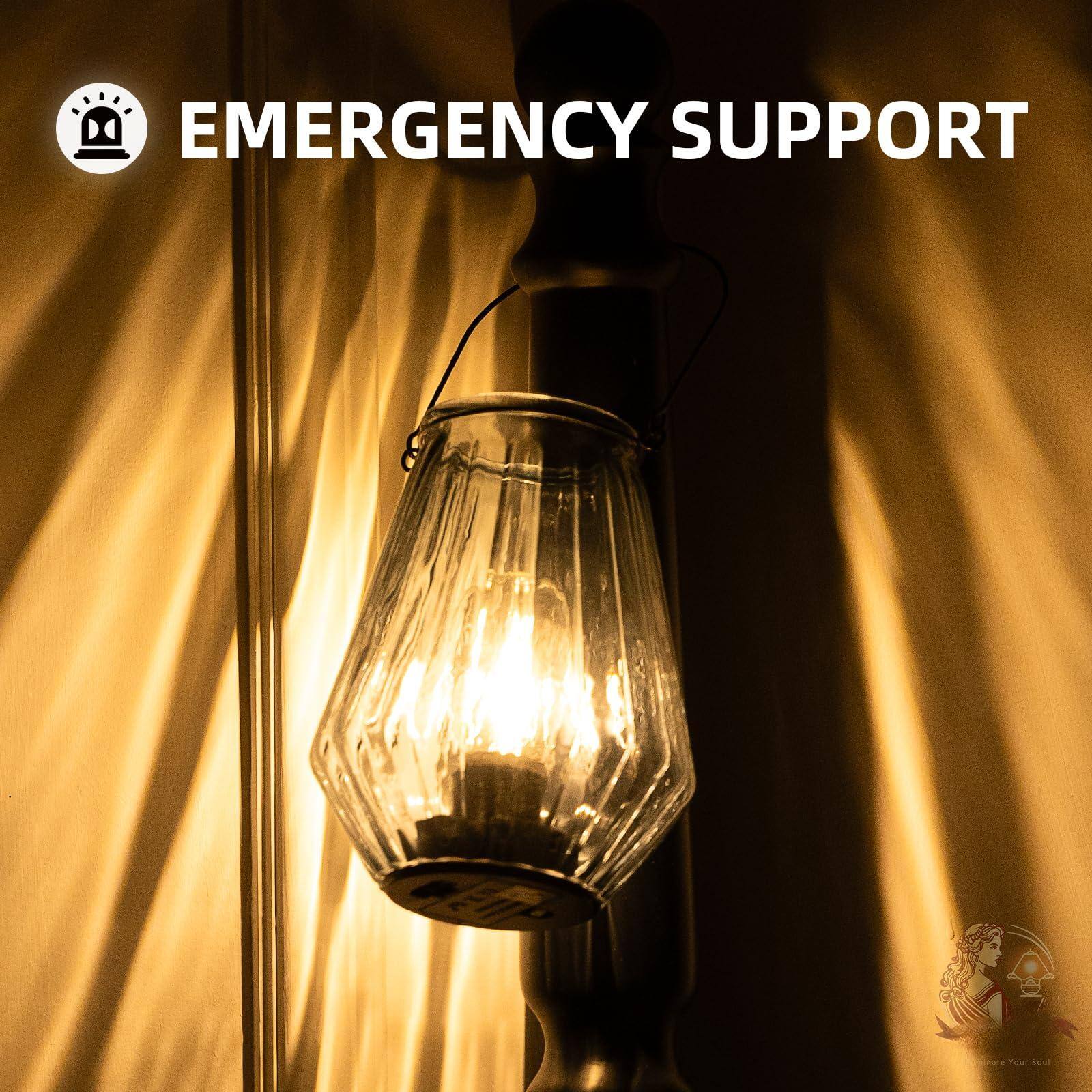 EMERGENCY SUPPORT
