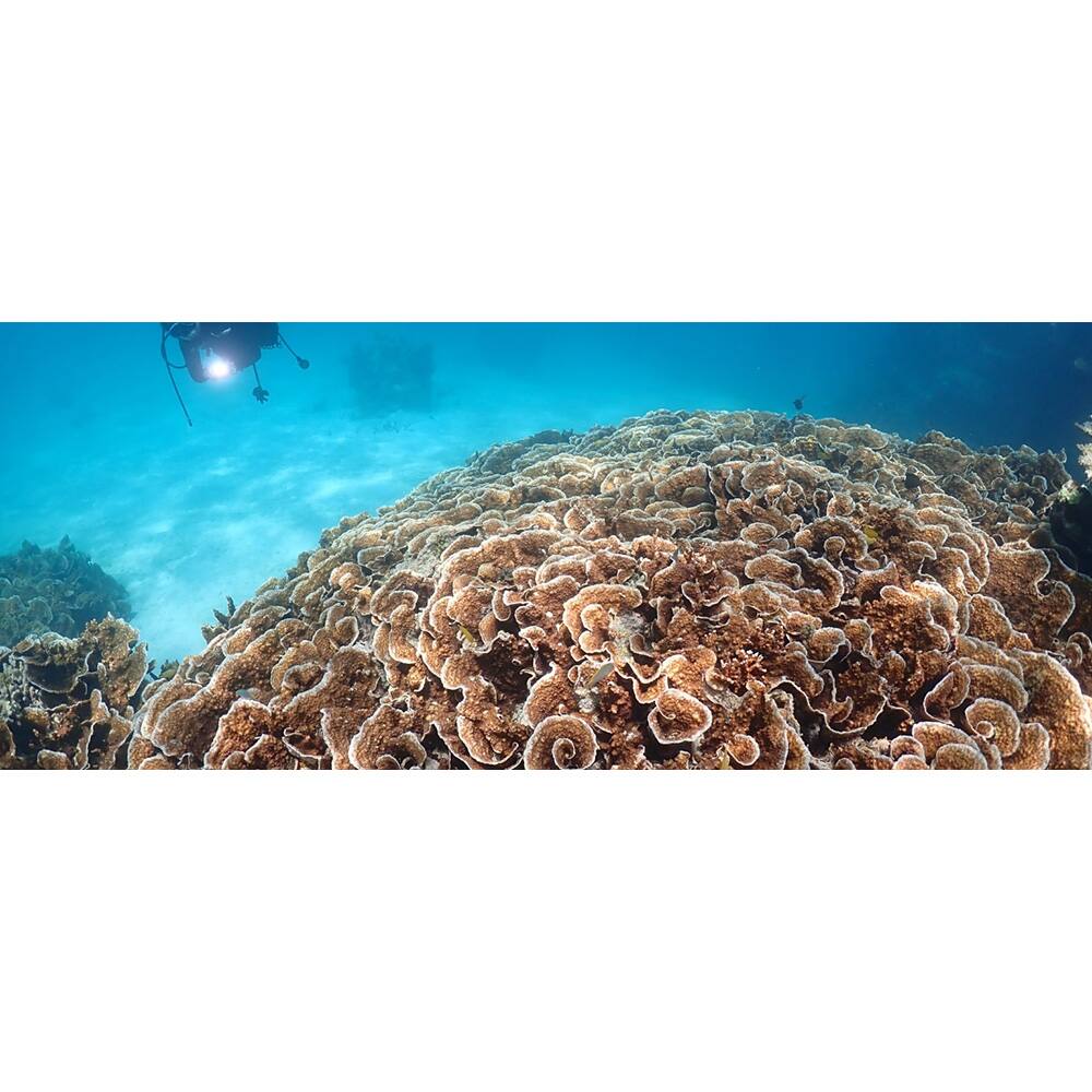 Alt View 4. OM System - Tough TG-7 4K Underwater Camera Black with Safety Bundle + 64GB Card Bundle.