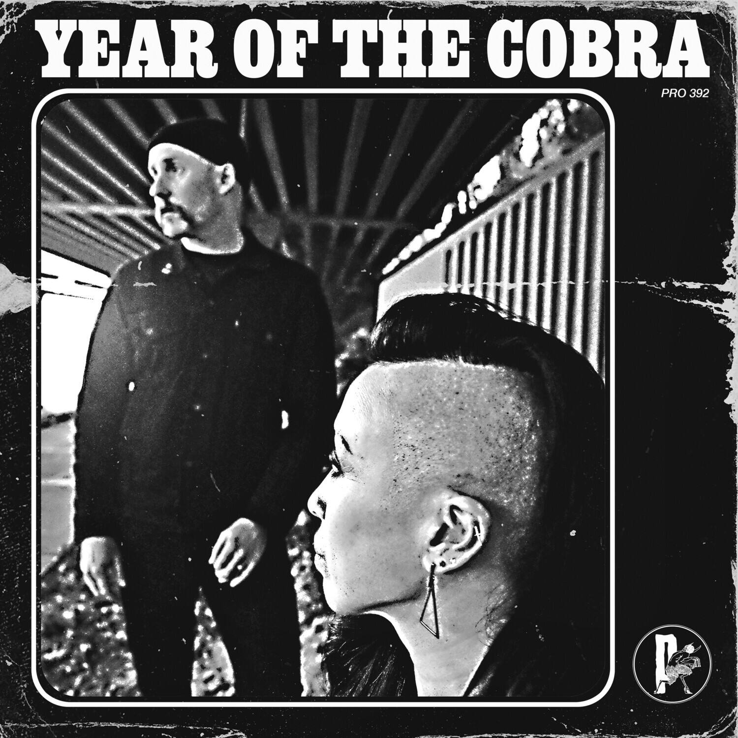 Year of the Cobra - Year of the Cobra   - COMPACT DISCS [CD]