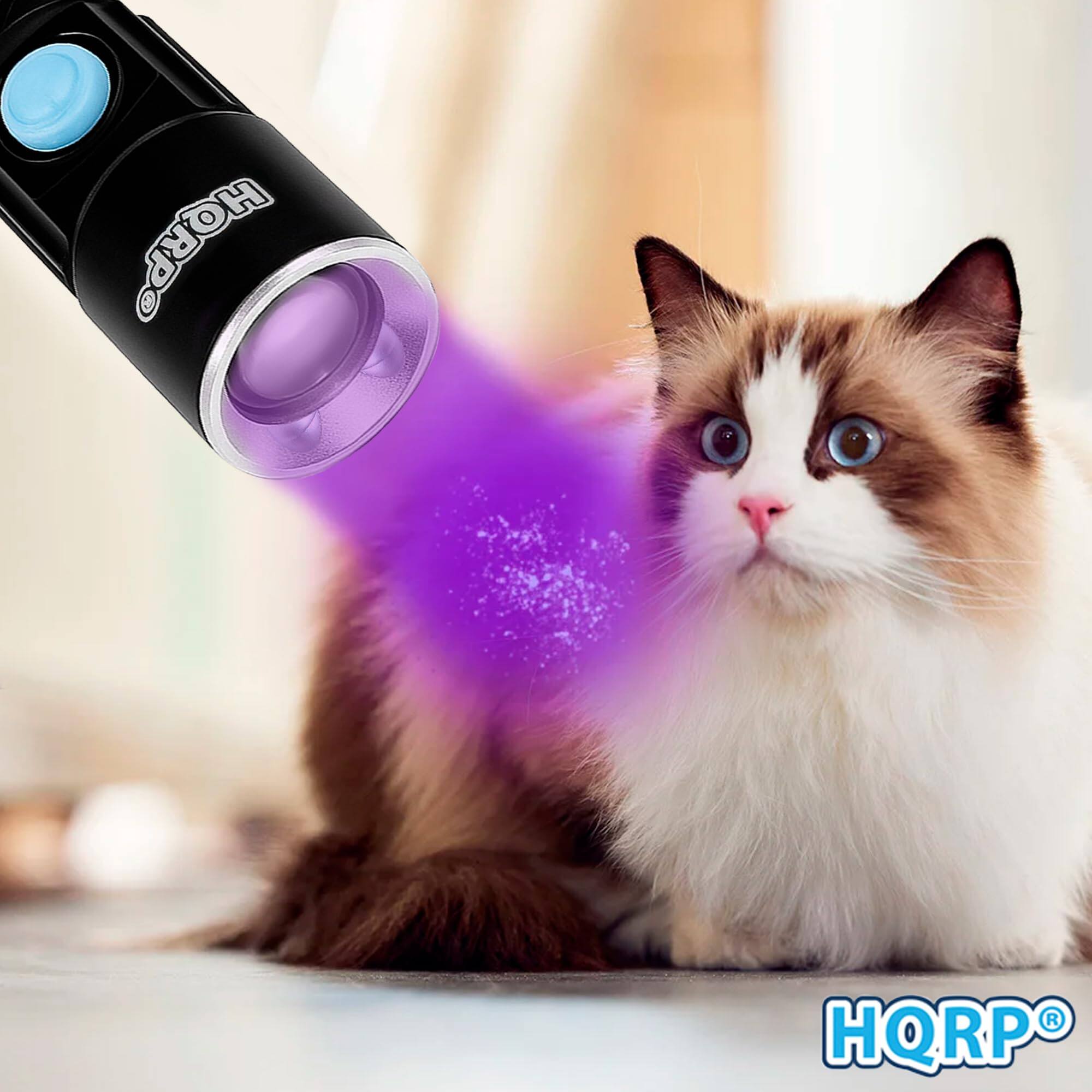 HQRP Rechargeable 395 nm UV Flashlight with USB Charging