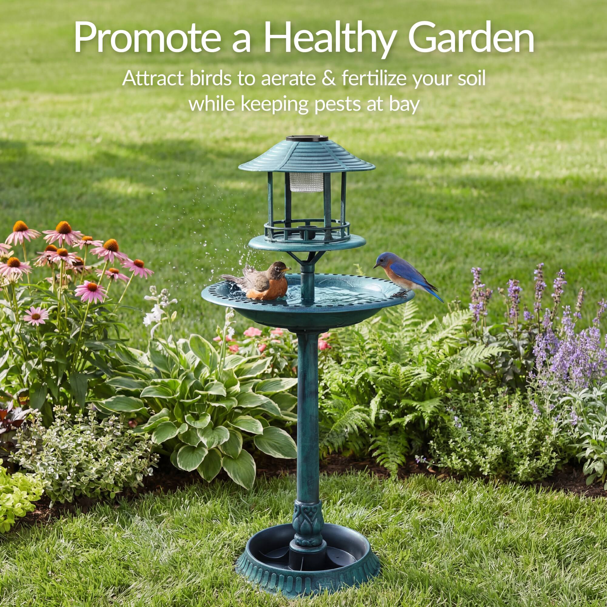 Promote a Healthy Garden

Attract birds to aerate & fertilize your soil while keeping pests at bay