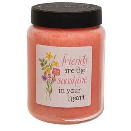 BreeBe - Friends are the Sunshine Spring Fling Jar Candle - 26oz - Pink