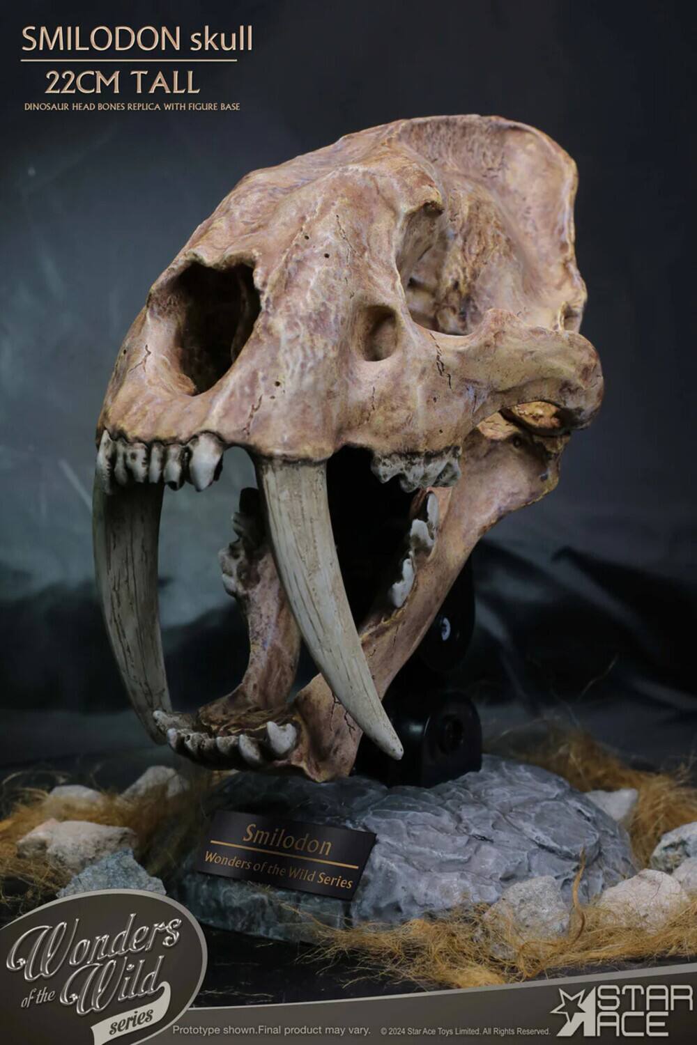 SMILODON skull  
22CM TALL  
DINOSAUR HEAD BONES REPLICA WITH FIGURE BASE  

Smilodon  
Wonders of the Wild Series  

Wonders of the Wild series  
Prototype shown. Final product may vary.  

© 2024 Star Ace Toys Limited. All Rights Reserved.