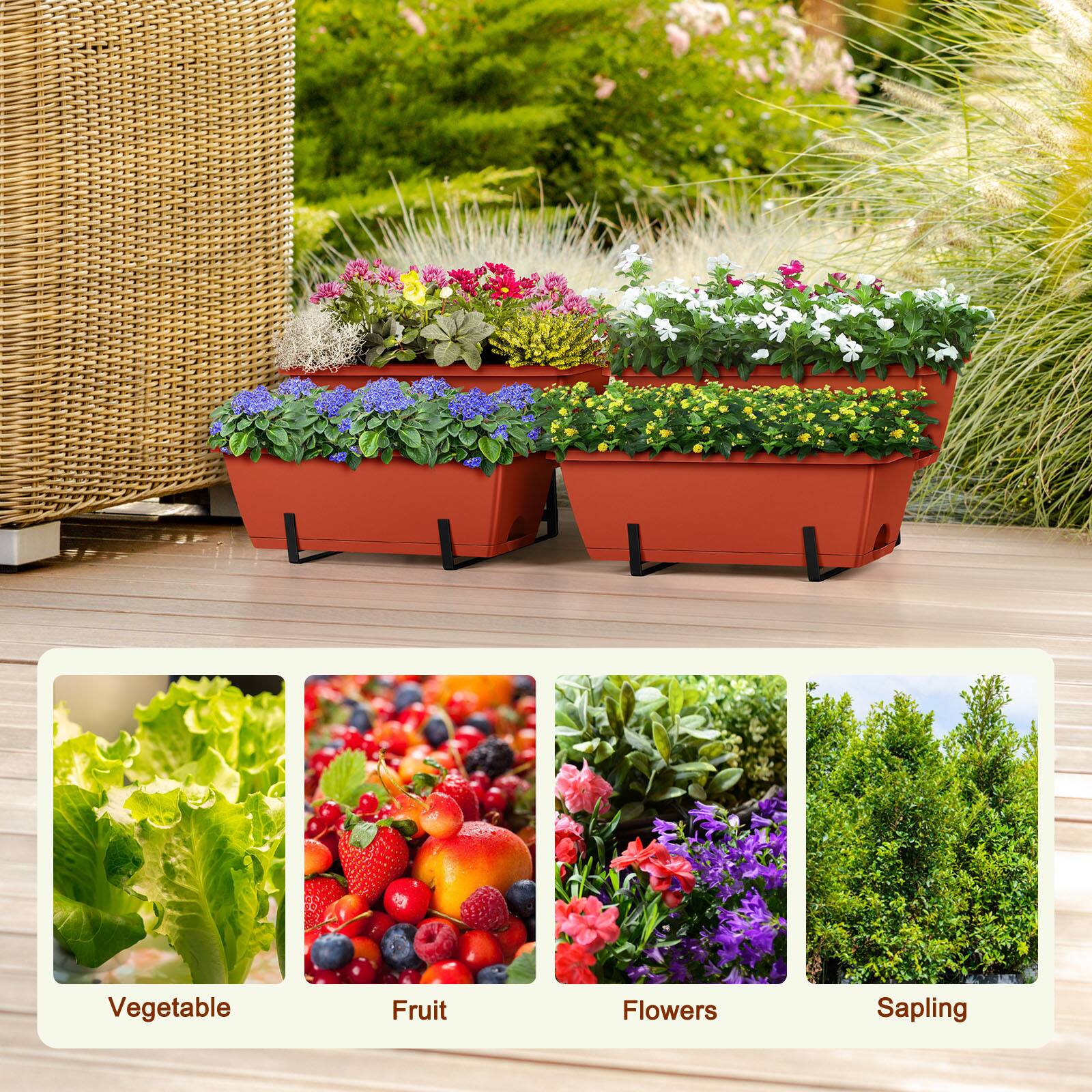 Vegetable  
Fruit  
Flowers  
Sapling