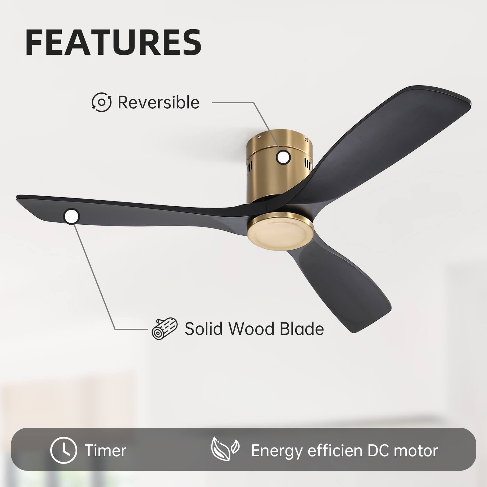 FEATURES

- Reversible
- Solid Wood Blade
- Timer
- Energy efficient DC motor