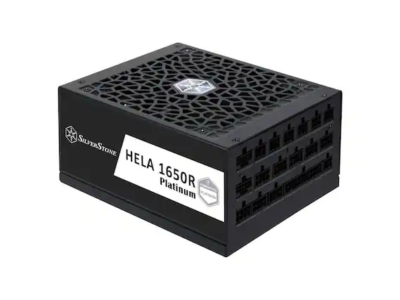 SILVERSTONE HELA 1650R Platinum CYBERNETICS D PLATINUM