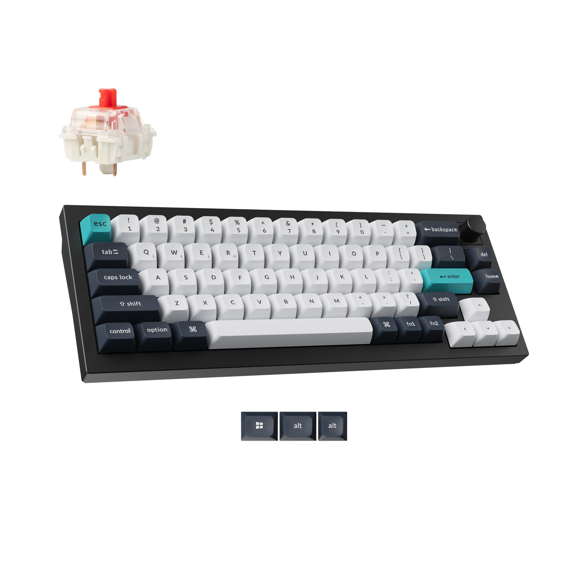 Gateron Jupiter Red Switch-Black