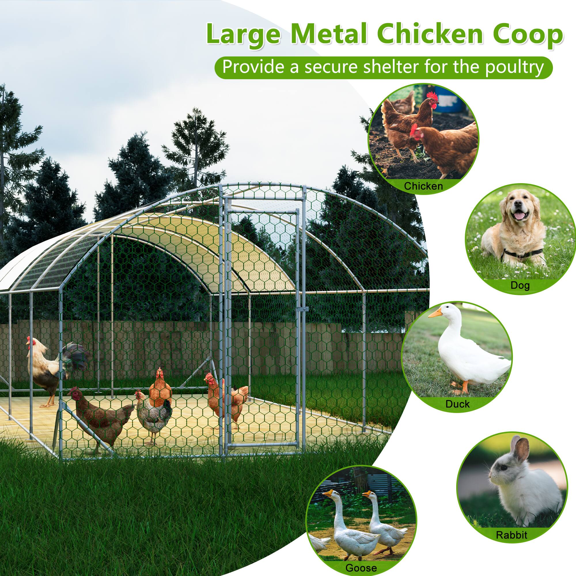 Large Metal Chicken Coop  
Provide a secure shelter for the poultry  

- Chicken  
- Dog  
- Duck  
- Rabbit  
- Goose