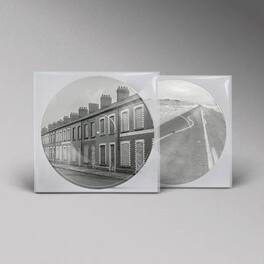 Manic Street Preachers - Critical Thinking - Limited Picture Disc - VINYL LP