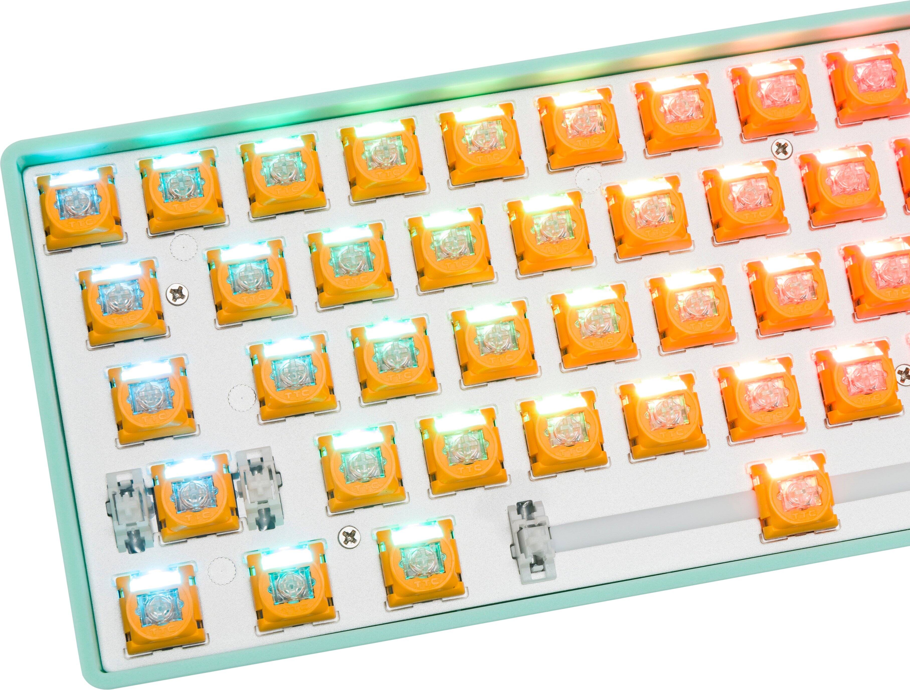 TTC TEC TG TTC TEG TEC TIC T1G TTO TEC TTC TTC TIC TTE TTC TTC