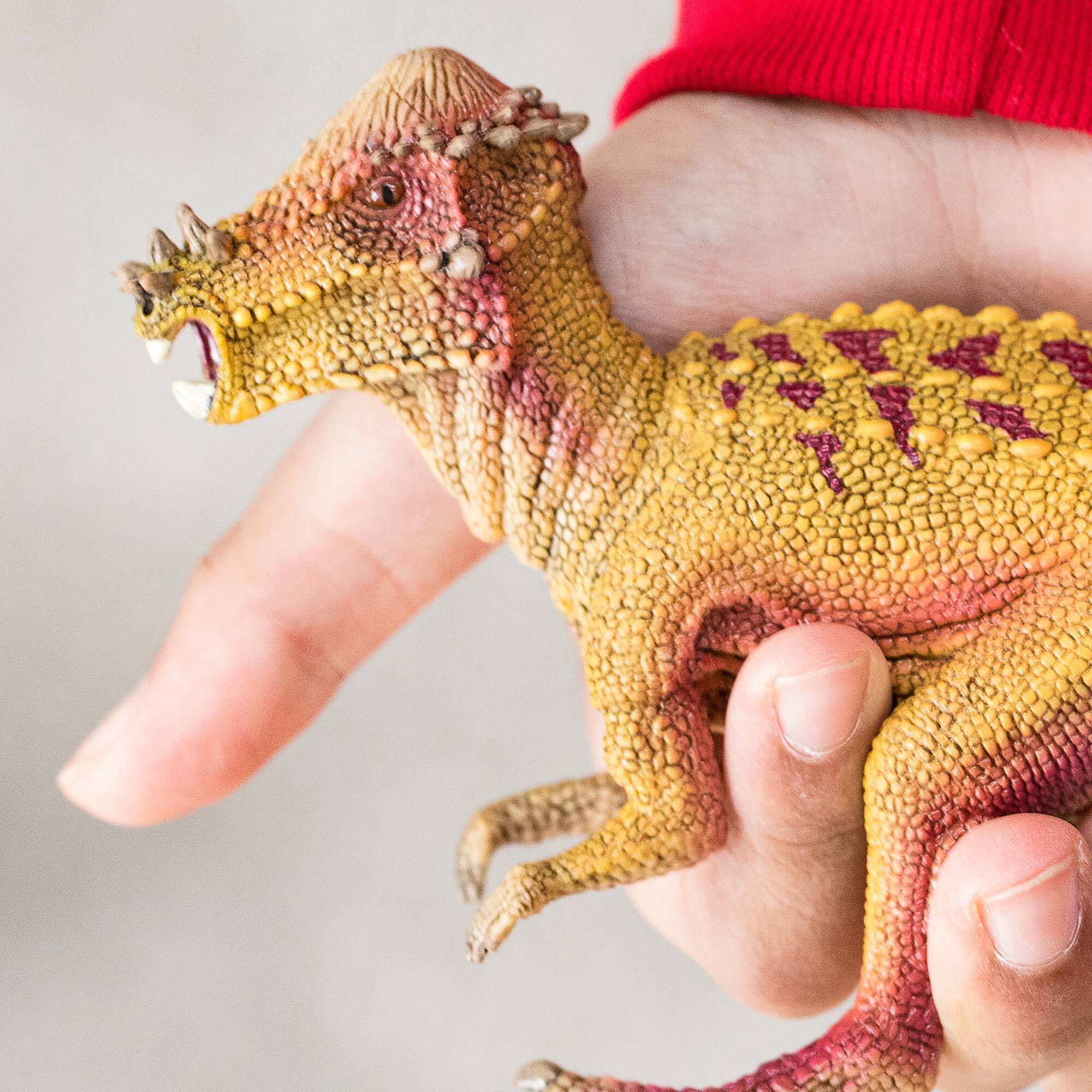 Back. Schleich - Dinosaurs: Pachycephalosaurus.
