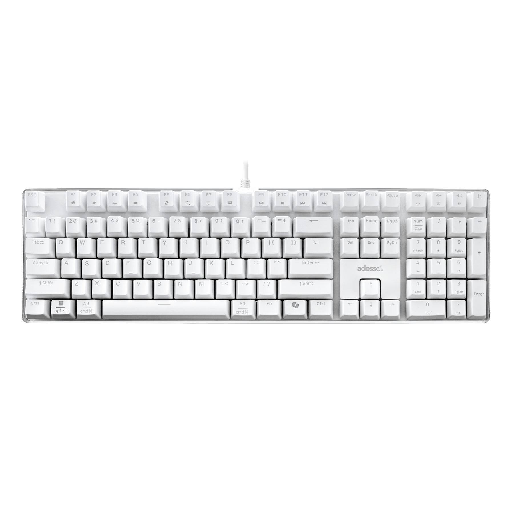 The image shows a white keyboard with a few letters missing. The missing letters are:
* ESC
* F1
* F2
* F3
* F4
* F5
* F6
* F7
* F8
* F9
* F10
* F11
* F12
The keyboard also has a missing number key, which is the number 1.