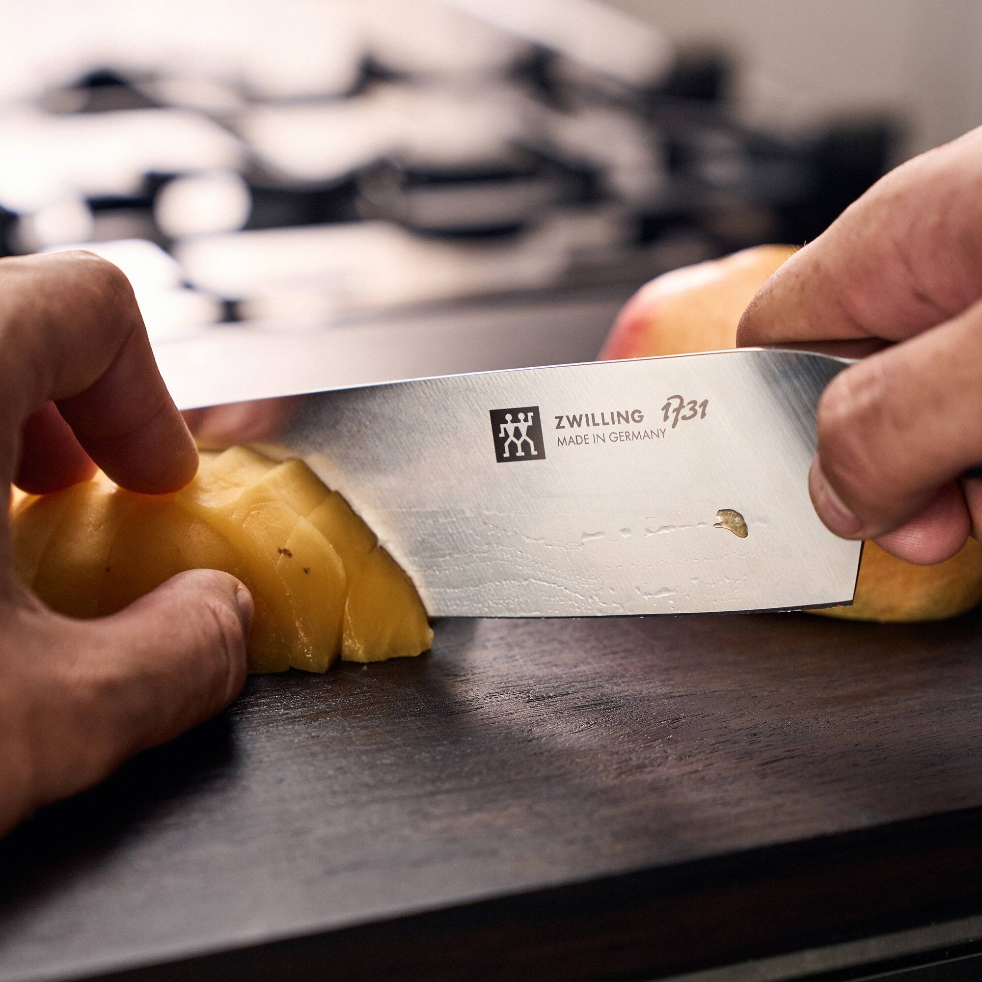 ZWILLING 1731 MADE IN GERMANY