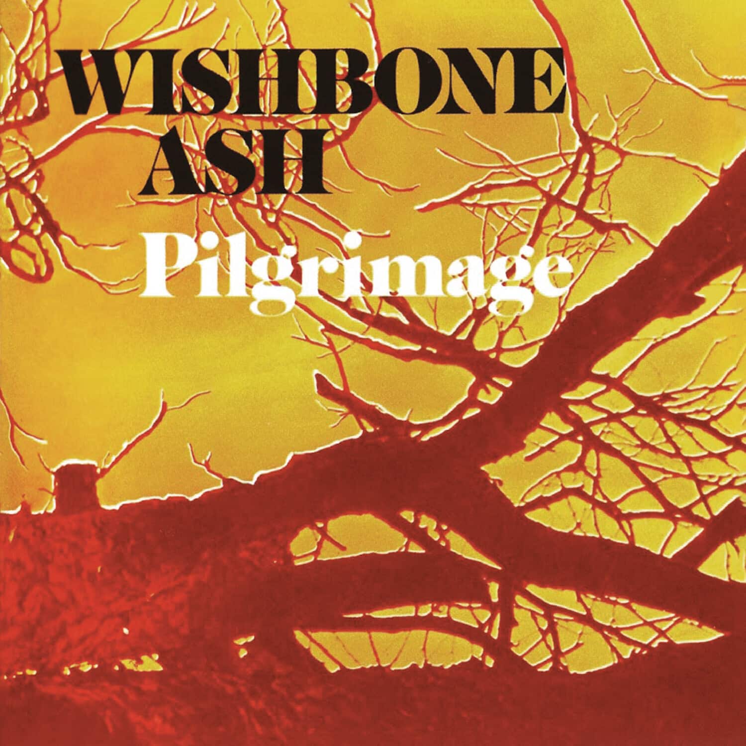 Wishbone Ash - Pilgrimage   - COMPACT DISCS [CD] price history on PriceWatchPro