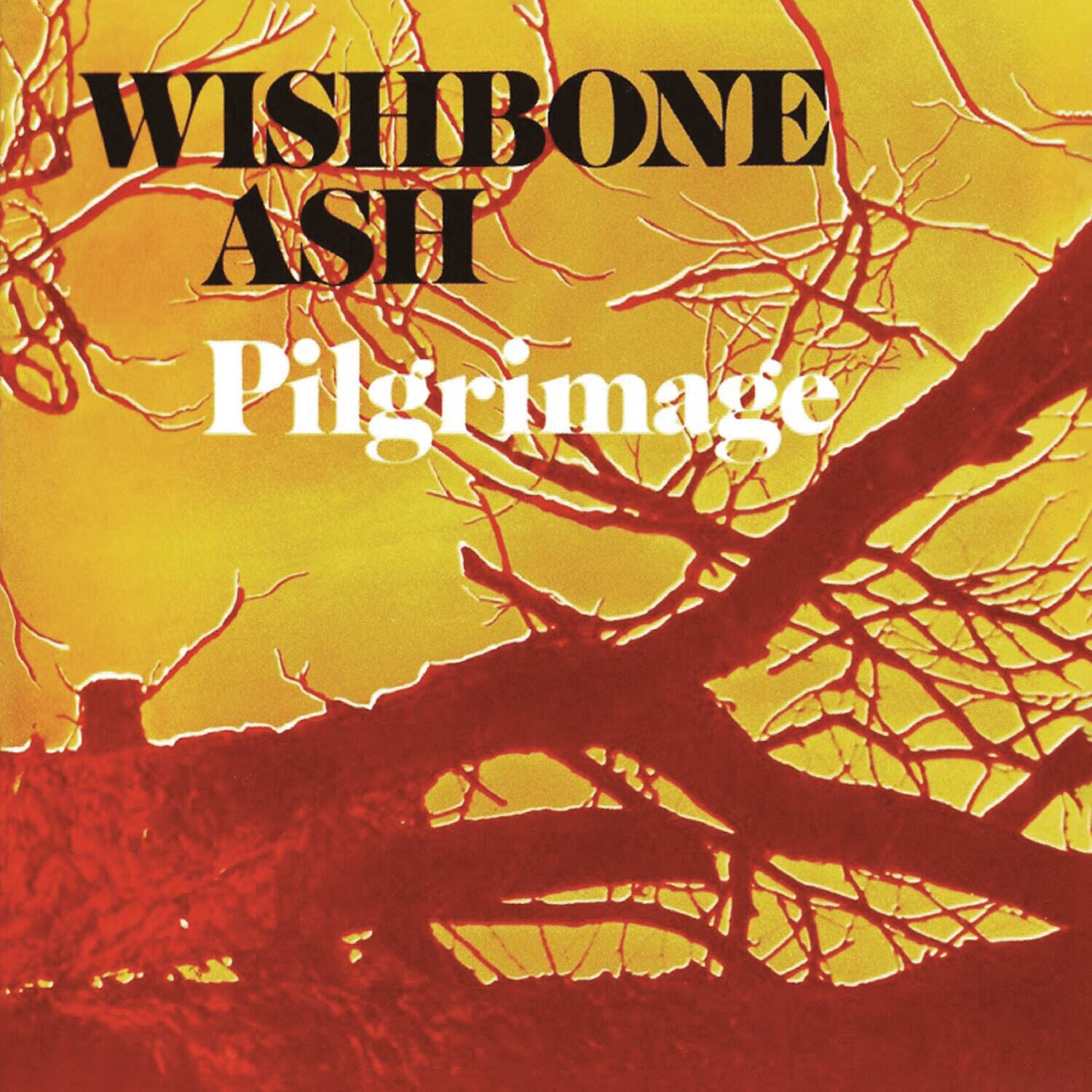 Wishbone Ash - Pilgrimage   - COMPACT DISCS [CD]