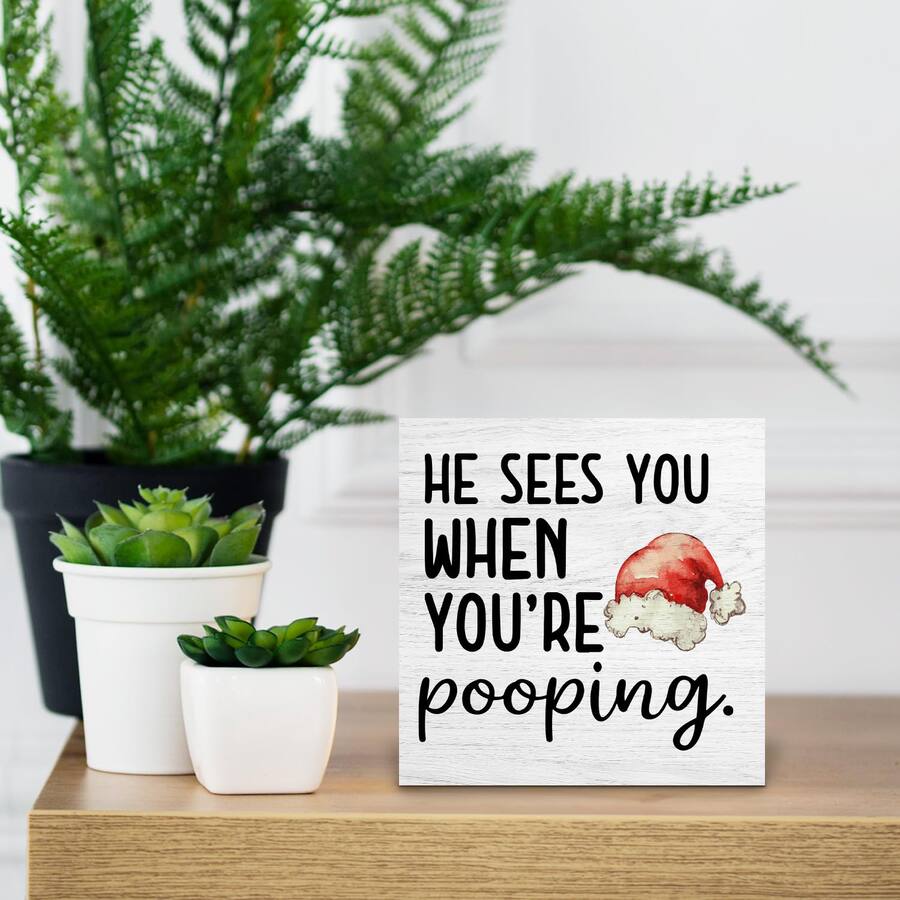 Paradigms Interiors Funny Christmas Bathroom Wooden Box Signs ...