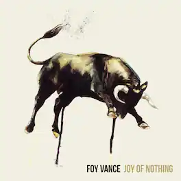 Foy Vance - Joy Of Nothing - VINYL LP