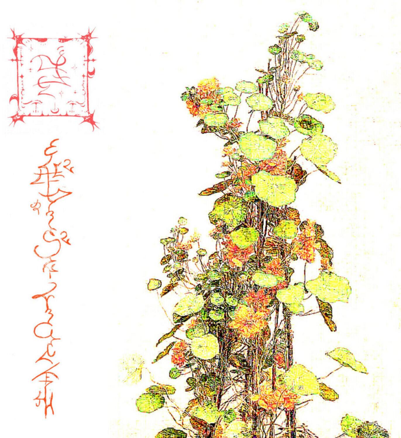Front. Trha - Avelajntoef Hinnem Nihre   - COMPACT DISCS.