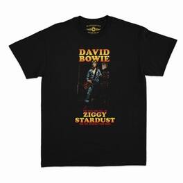 PopMarket - David Bowie - David Bowie - Ziggy Stardust & the Spiders - Heavy Cotton T-Shirt - Small Black - APPAREL - Multicolor