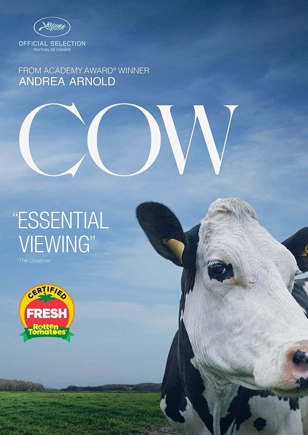 Cow  - DVD
