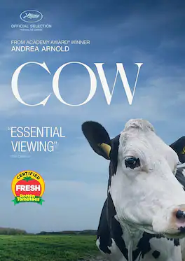 Cow - DVD