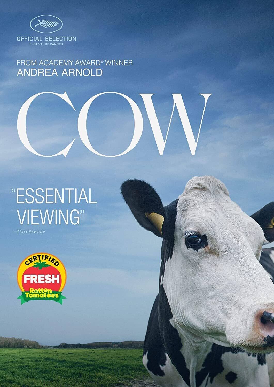 Cow   - DVD